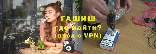 стафф Бородино