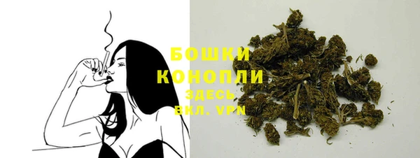 стафф Бородино