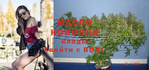 стафф Бородино