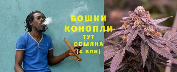 стафф Бородино