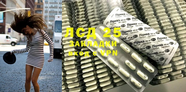 стафф Бородино