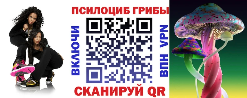 Псилоцибиновые грибы мицелий  как найти   Давлеканово 